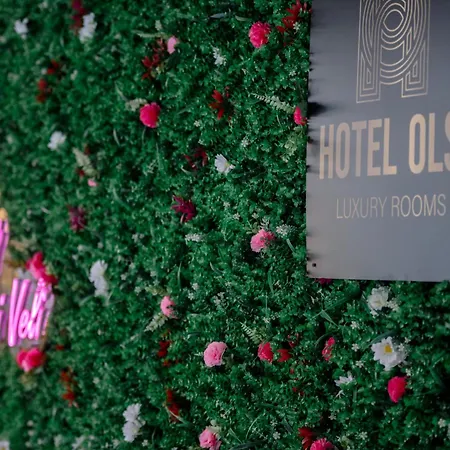 Hotel Olsi