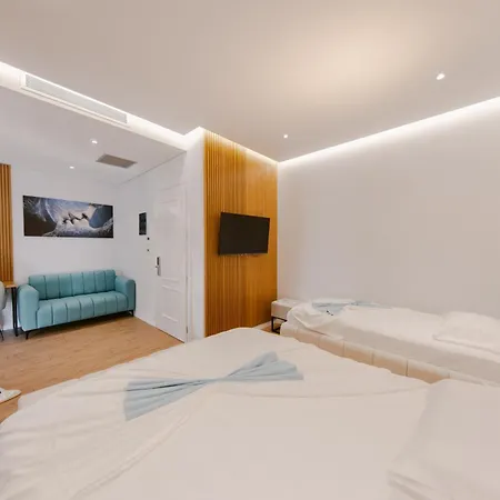 Hotel Olsi 4*