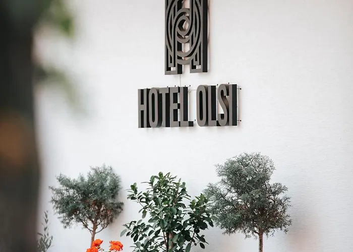 Olsi Ξενοδοχείο Σαράντα